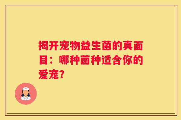 揭开宠物益生菌的真面目：哪种菌种适合你的爱宠？