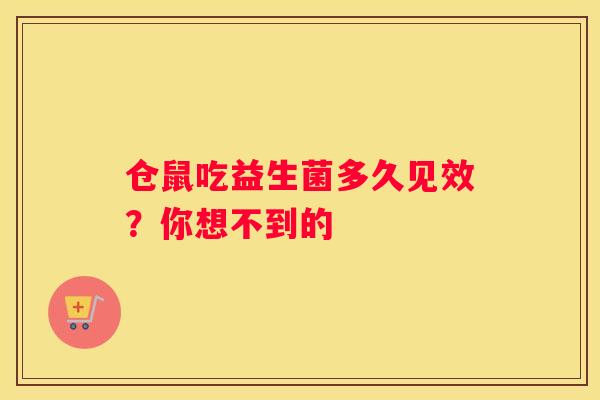 仓鼠吃益生菌多久见效？你想不到的