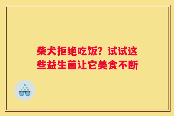 柴犬拒绝吃饭？试试这些益生菌让它美食不断