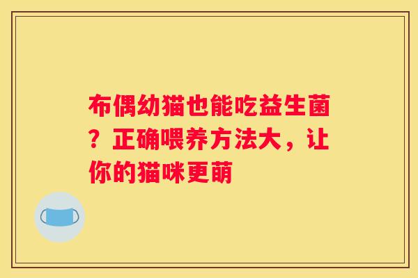 布偶幼猫也能吃益生菌？正确喂养方法大，让你的猫咪更萌