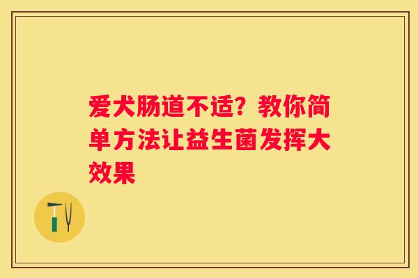 爱犬肠道不适？教你简单方法让益生菌发挥大效果