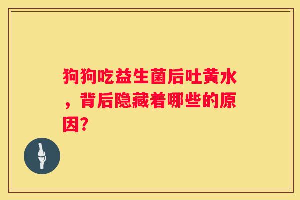 狗狗吃益生菌后吐黄水，背后隐藏着哪些的原因？