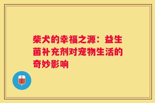 柴犬的幸福之源：益生菌补充剂对宠物生活的奇妙影响