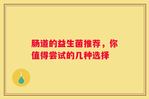 肠道的益生菌推荐，你值得尝试的几种选择