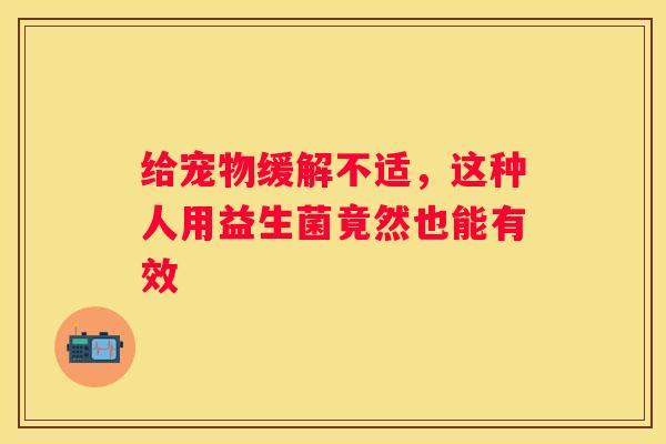 给宠物缓解不适，这种人用益生菌竟然也能有效