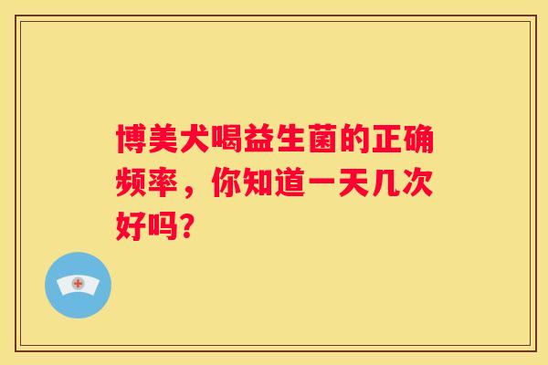 博美犬喝益生菌的正确频率，你知道一天几次好吗？