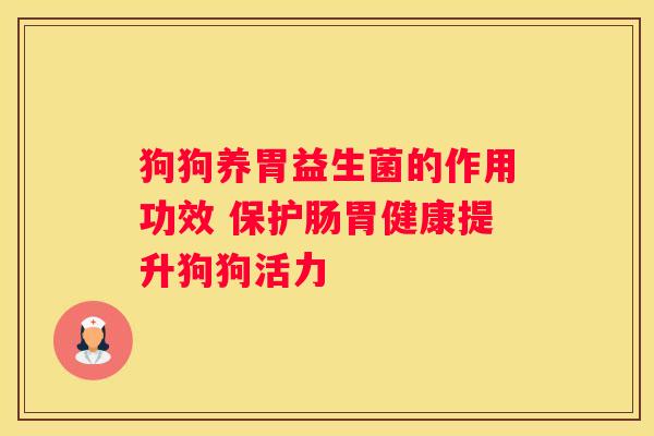 狗狗养胃益生菌的作用功效 保护肠胃健康提升狗狗活力