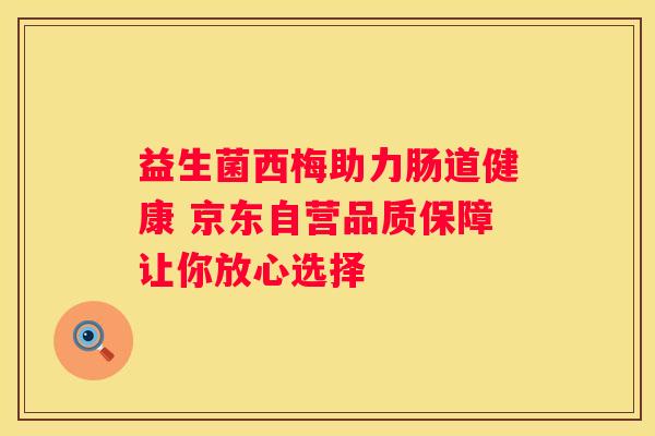 益生菌西梅助力肠道健康 京东自营品质保障让你放心选择