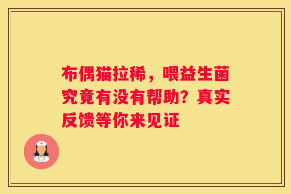布偶猫拉稀，喂益生菌究竟有没有帮助？真实反馈等你来见证
