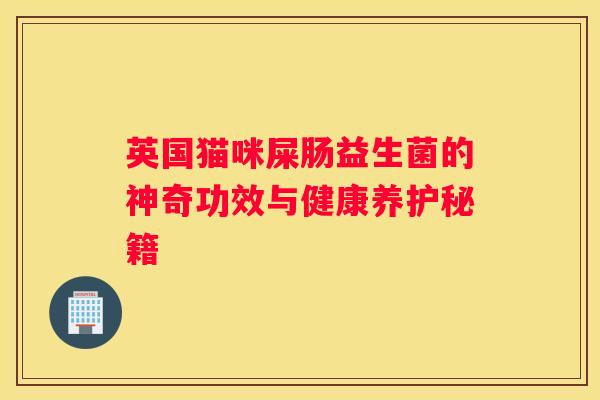英国猫咪屎肠益生菌的神奇功效与健康养护秘籍