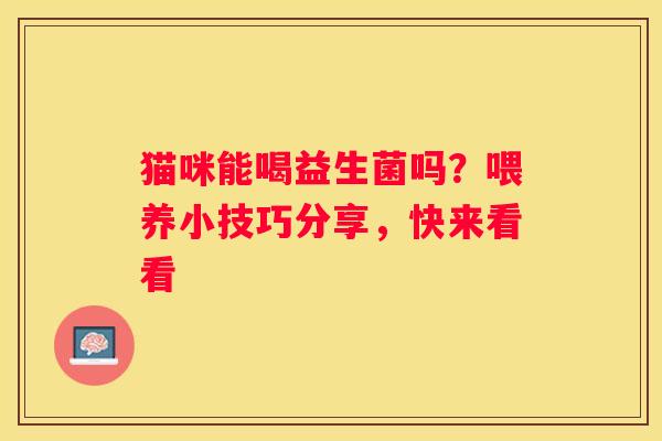 猫咪能喝益生菌吗？喂养小技巧分享，快来看看