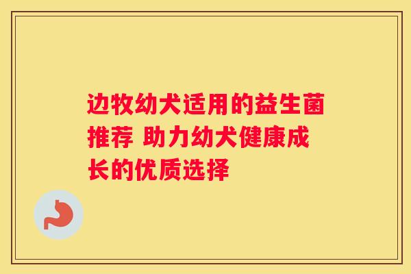 边牧幼犬适用的益生菌推荐 助力幼犬健康成长的优质选择