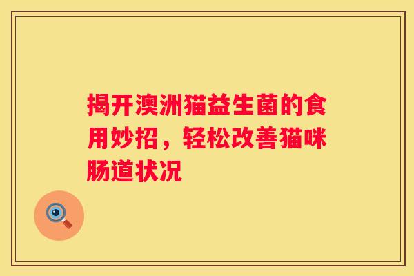 揭开澳洲猫益生菌的食用妙招，轻松改善猫咪肠道状况