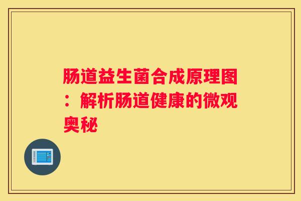 肠道益生菌合成原理图：解析肠道健康的微观奥秘